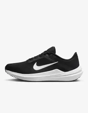 Nike Winflo 10